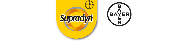 immagine smartphone decorativa nella parte superiore della pagina dei loghi Supradyn e Bayer